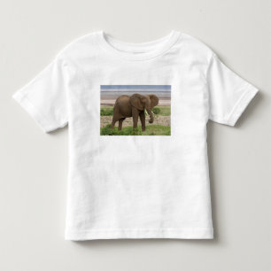 Afrika. Tansania. Elefant am Lake Manyara NP. Kleinkind T-shirt
