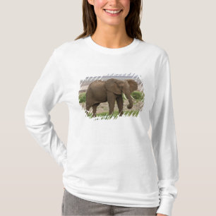 Afrika. Tansania. Elefant am Lake Manyara NP. T-Shirt