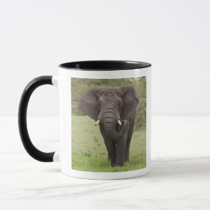 Afrika Tansania Elefant am Ngorongoro-Krater Tasse