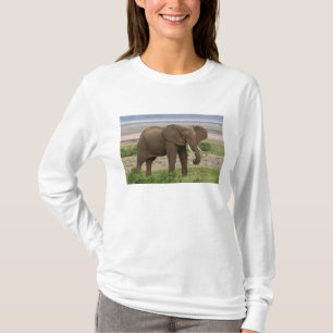Afrika. Tansania. Elefant im Lake Manyara NP. T-Shirt