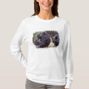Afrika, Tansania, Gombe NP Junges Weibchen T-Shirt