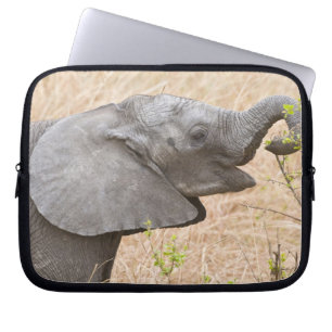 Afrika. Tansania. Junger Elefant im Tarangire Laptopschutzhülle