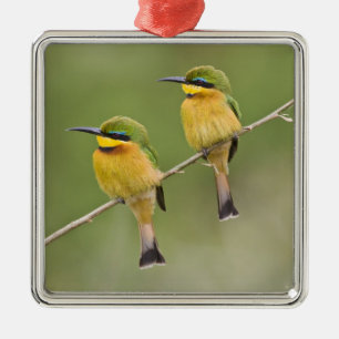 Afrika. Tansania. Kleine Bienenfresser bei Manyara Ornament Aus Metall