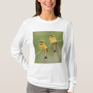 Afrika. Tansania. Kleine Bienenfresser bei Manyara T-Shirt