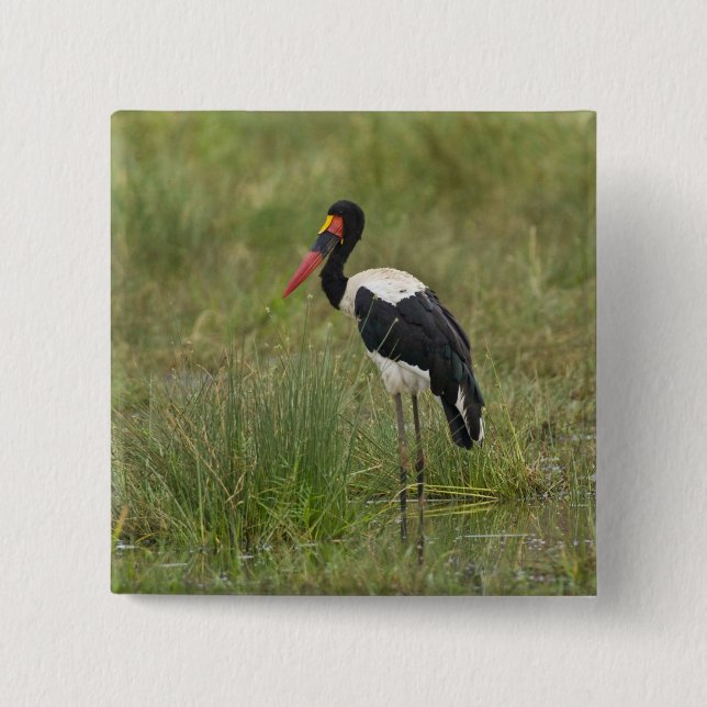 Afrika. Tansania Male Saddle-Lakai Stork Button (Vorderseite)
