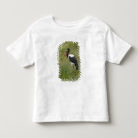 Afrika. Tansania Male Saddle-Lakai Stork