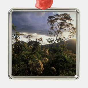 Afrika, Tansania, Ngorongoro-Schutzgebiet, Ornament Aus Metall