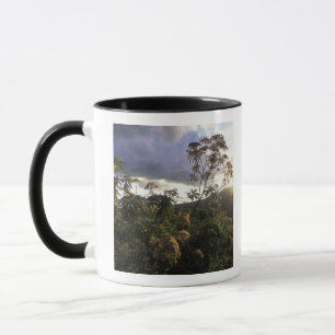 Afrika, Tansania, Ngorongoro-Schutzgebiet, Tasse