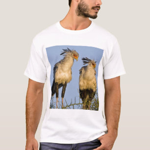 Afrika. Tansania Secretary Birds at Ndutu T-Shirt