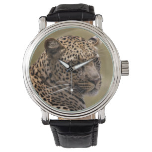 Afrika, Tansania, Serengeti. Leopard Armbanduhr