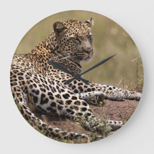 Afrika, Tansania, Serengeti. Leopard Große Wanduhr