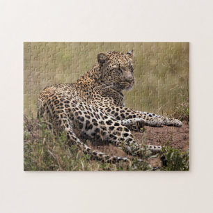Afrika, Tansania, Serengeti. Leopard Puzzle