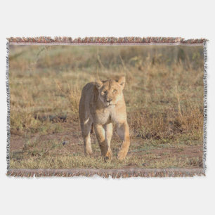 Afrika, Tansania, Serengeti. Löwe und Löwin Decke