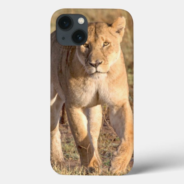 Afrika, Tansania, Serengeti. Löwen und Löwen Case-Mate iPhone Hülle (Rückseite)