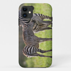 Afrika. Tansania. Steppenzebra-Mutter und -Baby Case-Mate iPhone Hülle