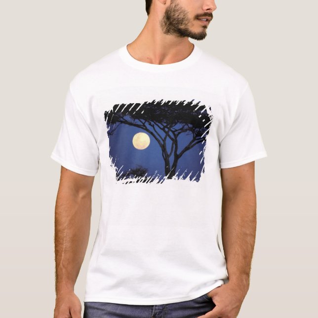 Afrika, Tansania, Tarangire. Akazienbaum T-Shirt (Vorderseite)