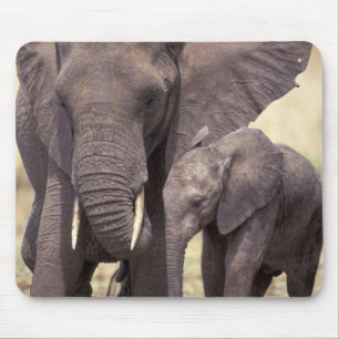 Afrika, Tansania, Tarangire-Nationalpark. 2 Mousepad