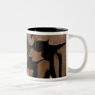 Afrika, Tansania, Tarangire-Nationalpark. Zweifarbige Tasse