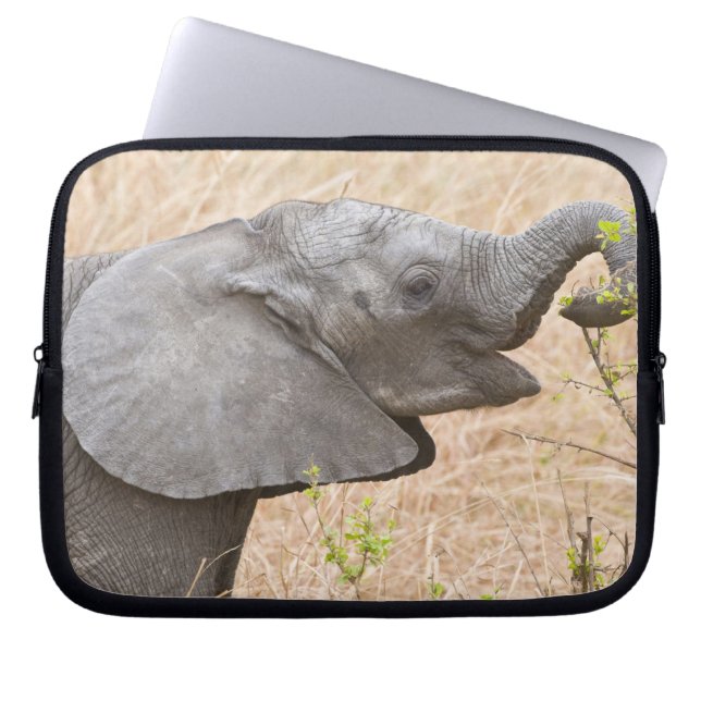Afrika. Tansania Young Elephant in Tarangire Laptopschutzhülle (Vorderseite)