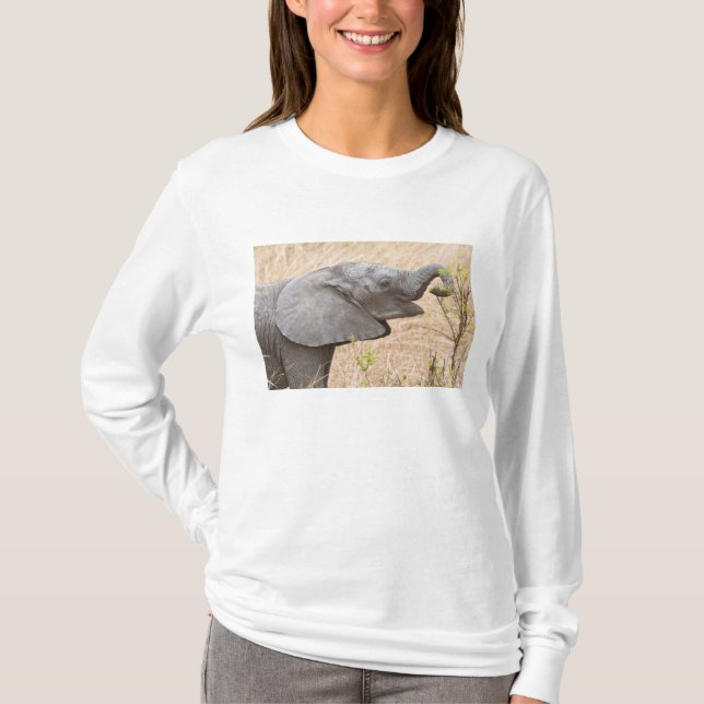 Afrika. Tansania Young Elephant in Tarangire T-Shirt (Vorderseite)