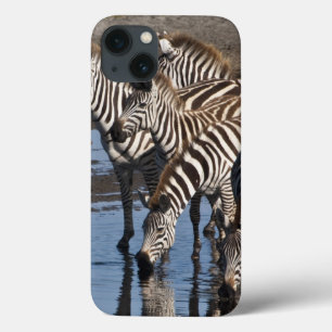 Afrika. Tansania. Zebras trinken bei Ndutu Case-Mate iPhone Hülle
