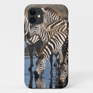 Afrika. Tansania Zebras trinken in Ndutu Case-Mate iPhone Hülle