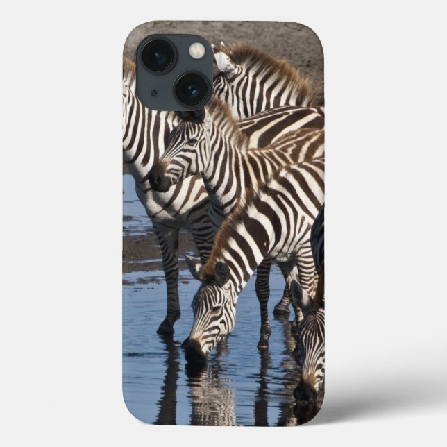 Afrika. Tansania Zebras trinken in Ndutu in Case-Mate iPhone Hülle (Rückseite)
