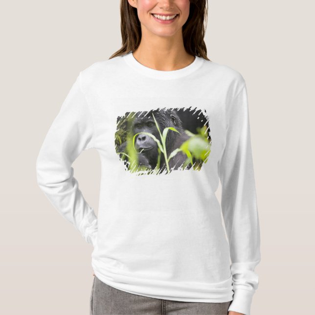 Afrika Uganda, Bwindi T-Shirt (Vorderseite)