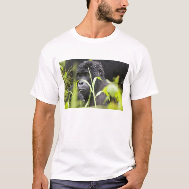 Afrika Uganda, Bwindi T-Shirt (Vorderseite)