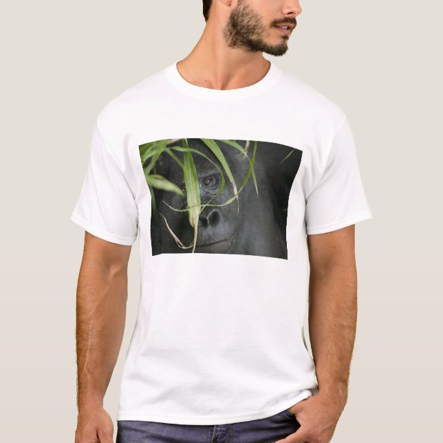 Afrika, Uganda, Bwindi T-Shirt (Vorderseite)