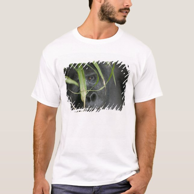 Afrika, Uganda, Bwindi T-Shirt (Vorderseite)