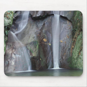 Afrika, Uganda, Bwindi Undurchdringlicher Regenwal Mousepad