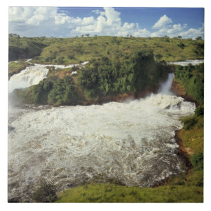 Afrika, Uganda, Murchison Falls NP. Das schaumige Fliese