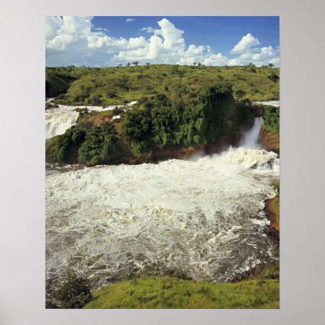 Afrika, Uganda, Murchison Falls NP. Das schaumige Poster (Vorne)
