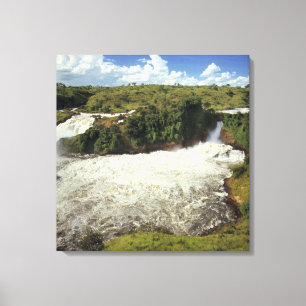 Afrika, Uganda, Murchison Falls NP. Der Frost Leinwanddruck