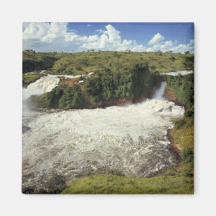 Afrika, Uganda, Murchison Falls NP. Die schaumige Magnet