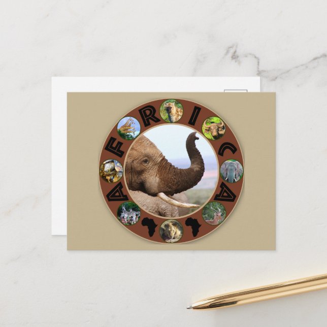 Afrika Wildlife Circle Elephant Scans Postkarte (Vorderseite/Rückseite Beispiel)