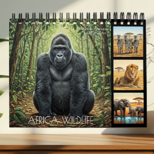 Afrika-Wildtierkalender 2027 / Afrikanische Tiere  Kalender