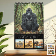 Afrika-Wildtierkalender 2027 / Afrikanische Tiere