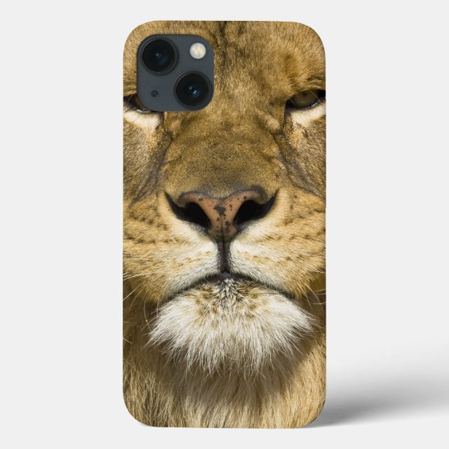 Afrikanerbarbary-Löwe, Panthera Löwe Löwe, ein von Case-Mate iPhone Hülle (Rückseite)
