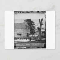 Afrikanische Amerikaner bereiten Baumwolle um 1862