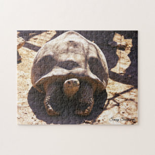 Afrikanische angetriebene Schildkröte Puzzle