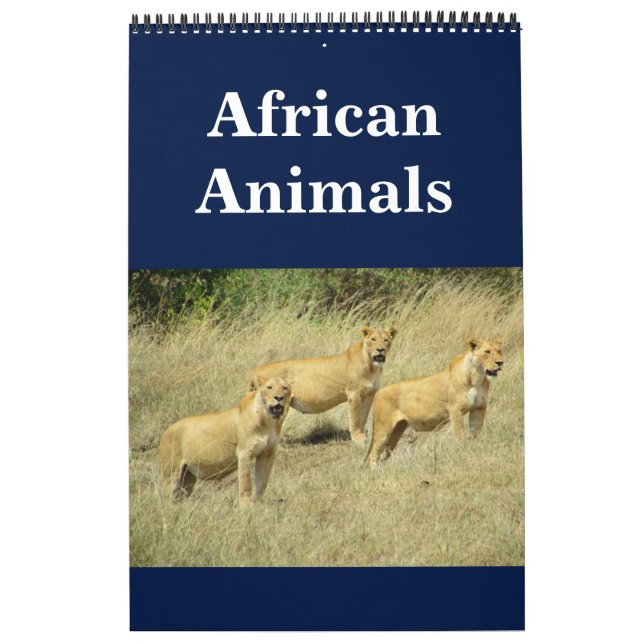 afrikanische Animalia Kalender (Titelbild)