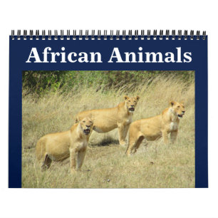 afrikanische Animalia Kalender