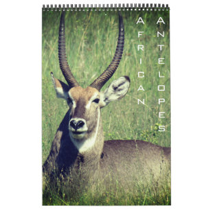 afrikanische Antilopen-Safari 2026 Kalender