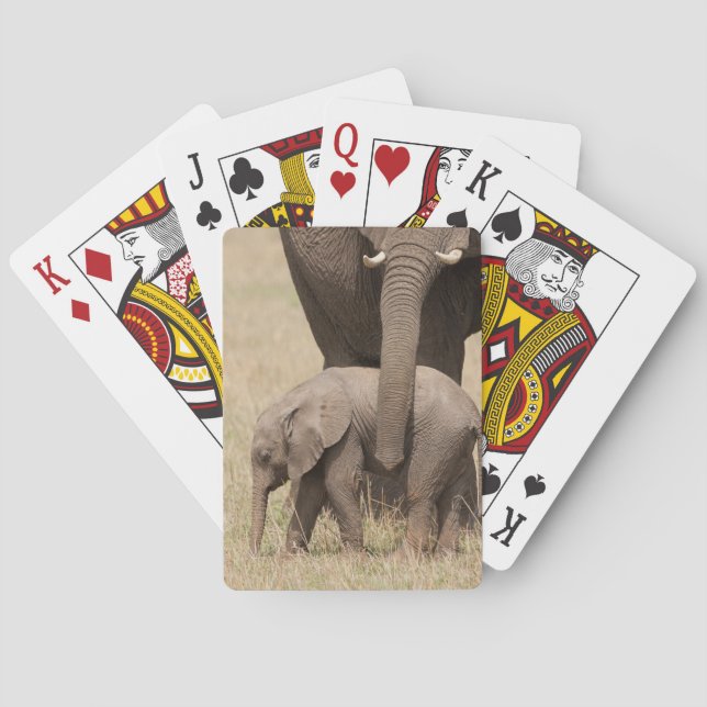 Afrikanische Baby Elephant mit Mutter Spielkarten (Rückseite)