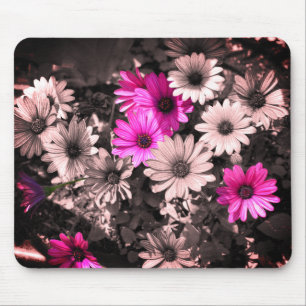Afrikanische Daisis Blume Art Mousepad