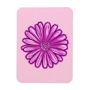 Afrikanische Daisy-Blume, realistische Illustratio Magnet