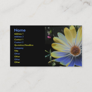 Afrikanische Daisy Lapis und Gold Custom Business  Visitenkarte