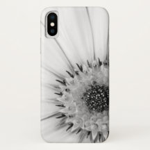 Afrikanische Daisy Monochrome Floral